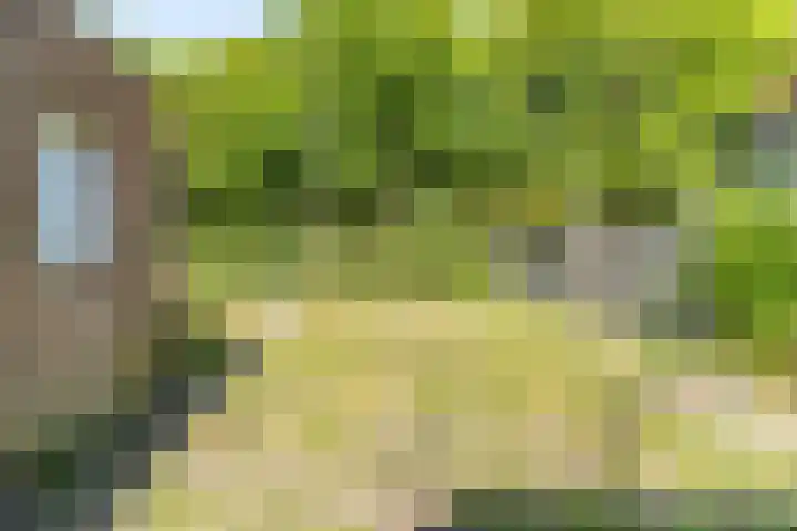 Nerhovensestraat 31 Gilze thumbnail 23
