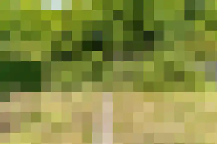 Nerhovensestraat 31 Gilze thumbnail 25