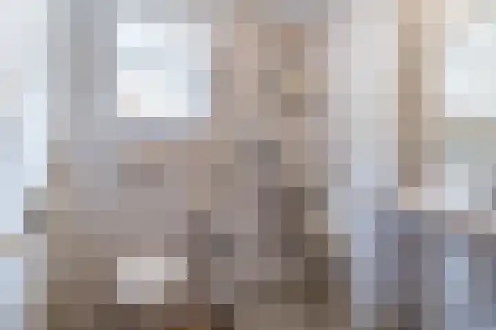 Nerhovensestraat 31 Gilze thumbnail 38