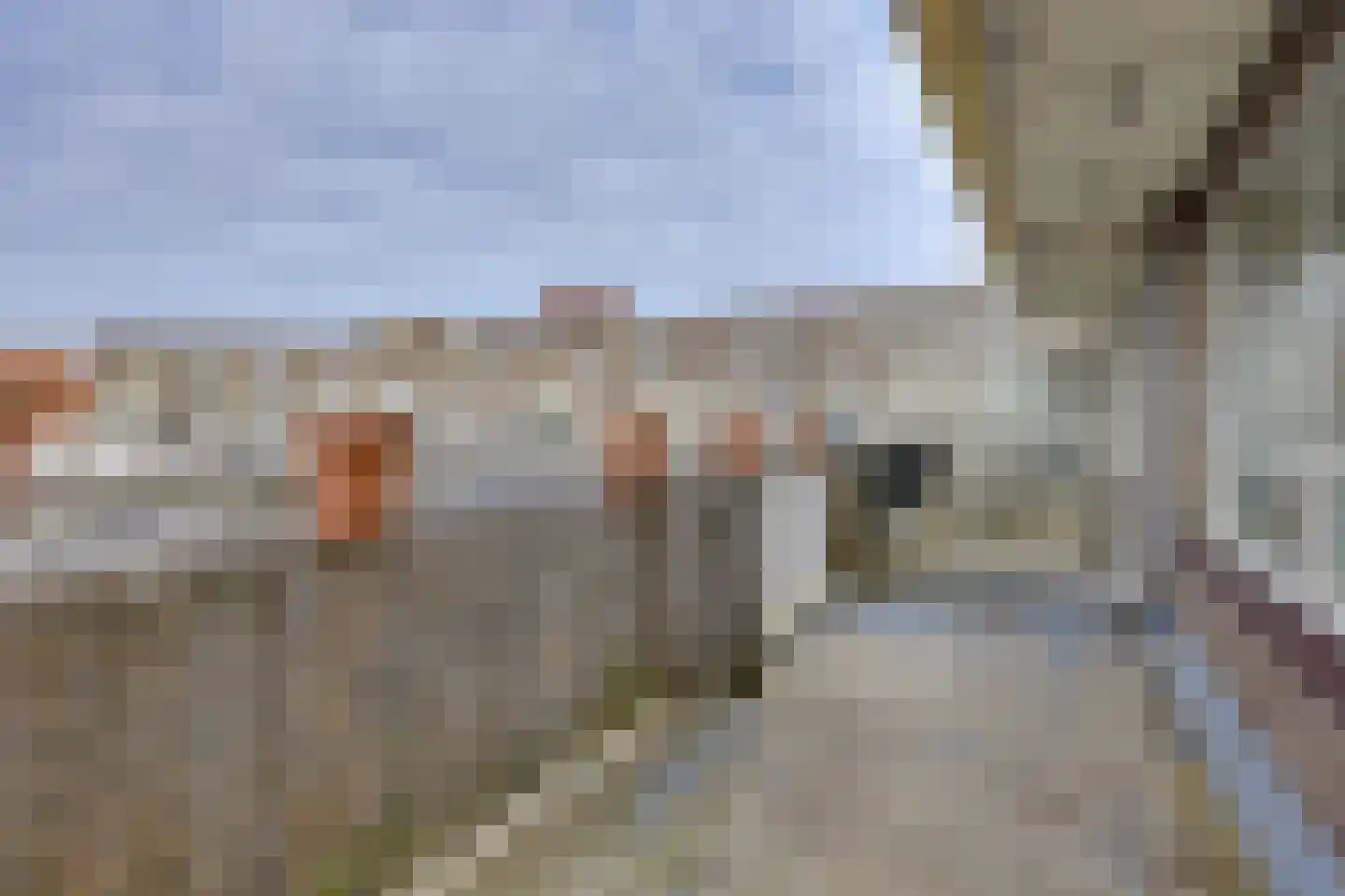 Neringpassage 120 Lelystad thumbnail 21
