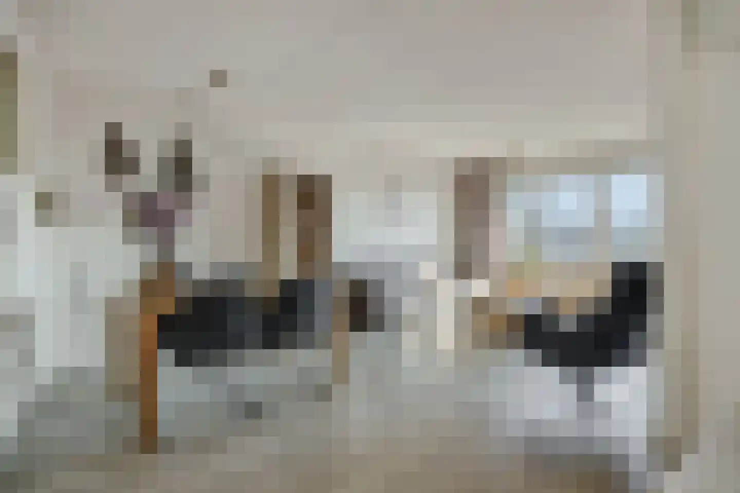 Neringstraat-Oost 14 Uden thumbnail 9