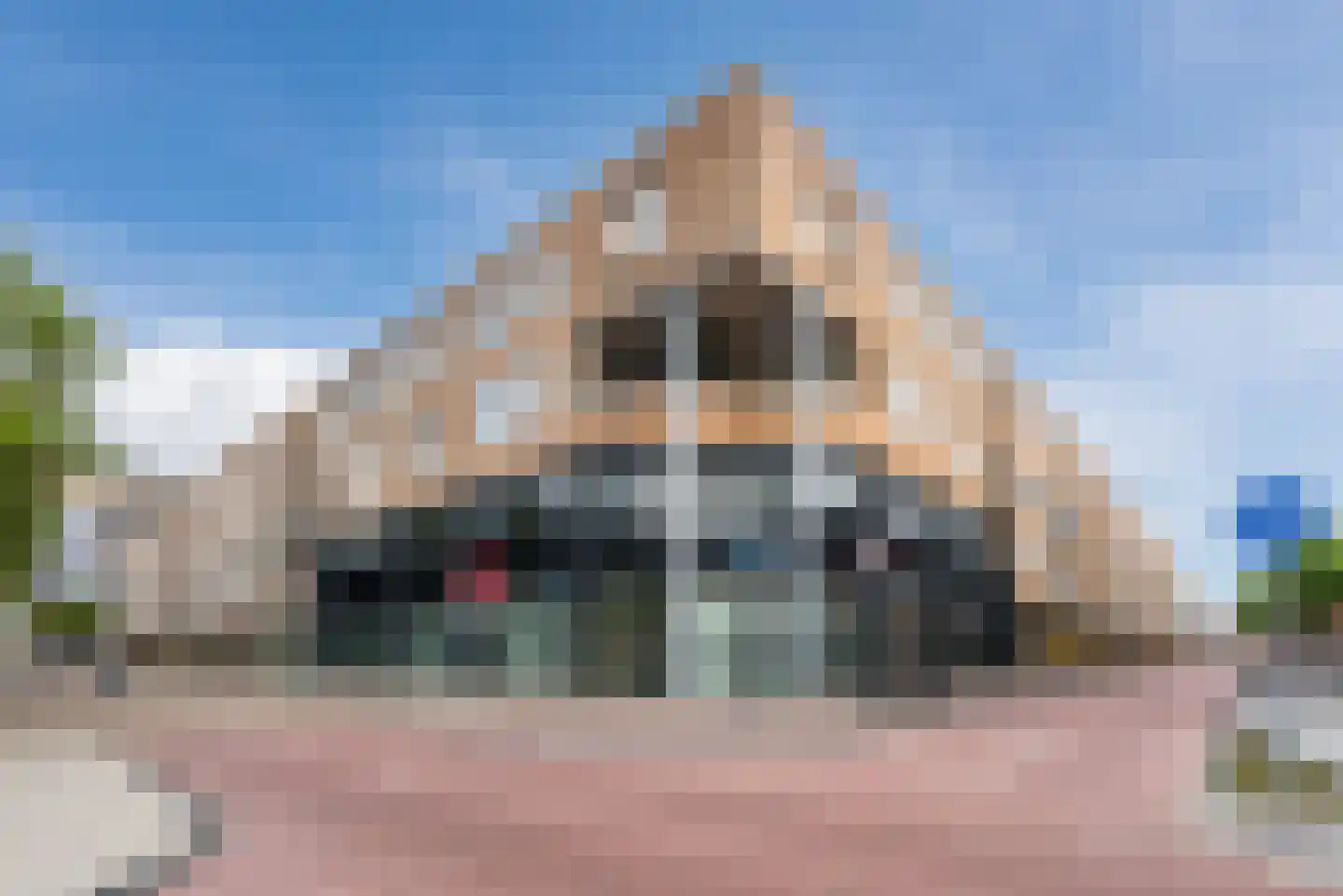 Neringweg 388 Lelystad thumbnail 5