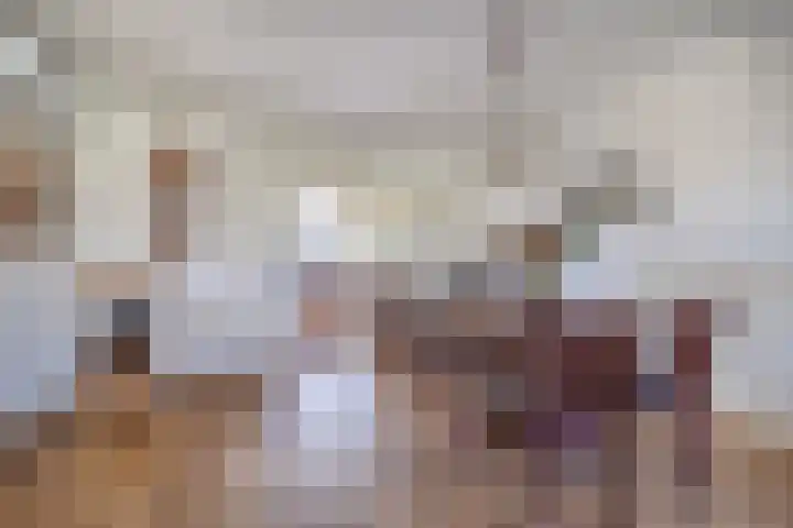 Nertseweide 2 Veghel thumbnail 14