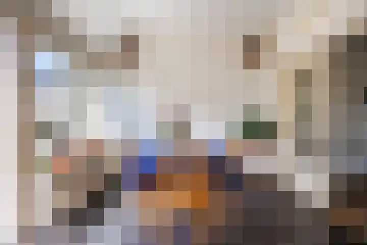 Nertseweide 2 Veghel thumbnail 17