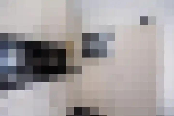 Nertseweide 2 Veghel thumbnail 19