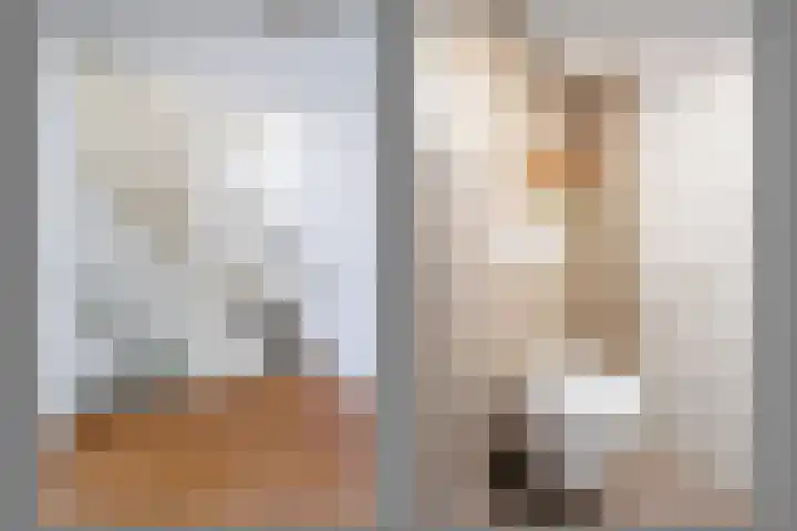 Nertseweide 2 Veghel thumbnail 20