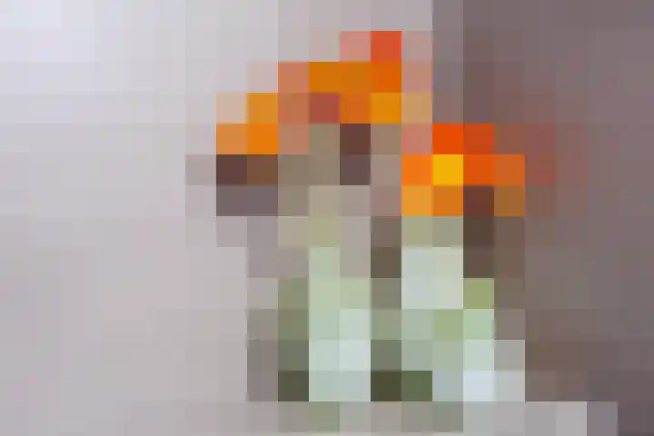 Nertseweide 2 Veghel thumbnail 22