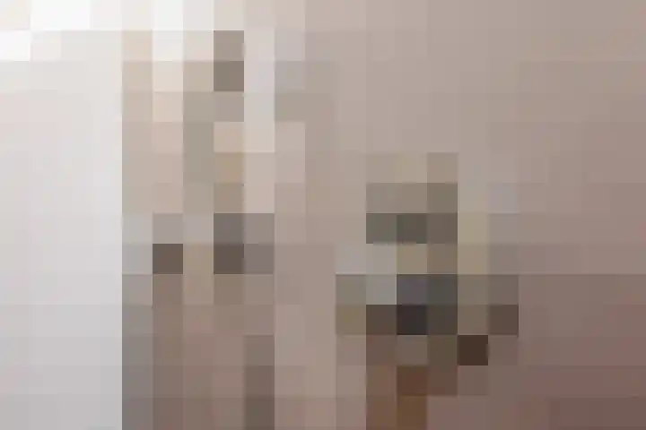 Nertseweide 2 Veghel thumbnail 23
