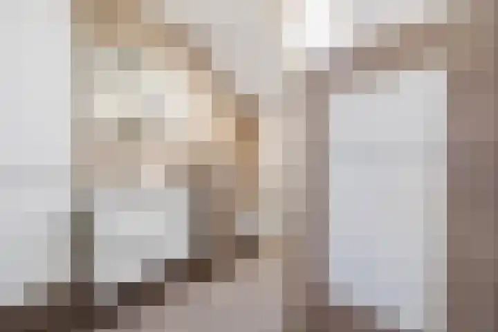 Nertseweide 2 Veghel thumbnail 24