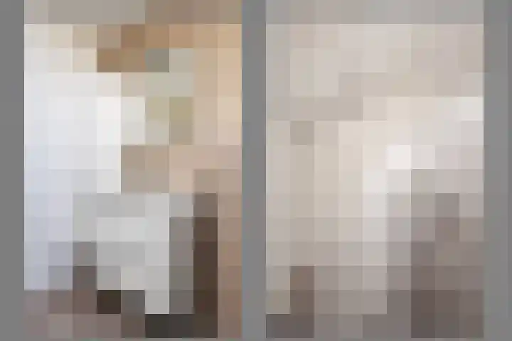 Nertseweide 2 Veghel thumbnail 26