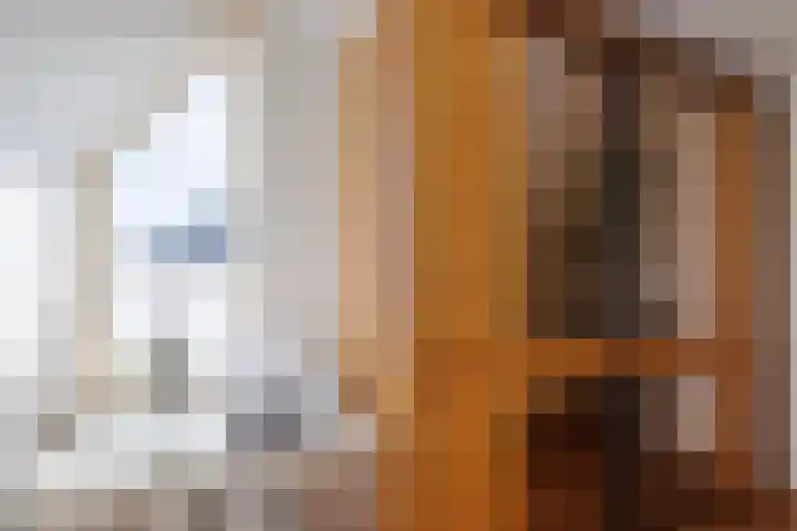 Nertseweide 2 Veghel thumbnail 30
