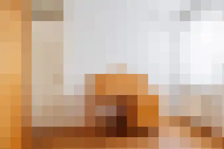 Nertseweide 2 Veghel thumbnail 32