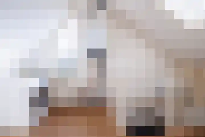 Nertseweide 2 Veghel thumbnail 33