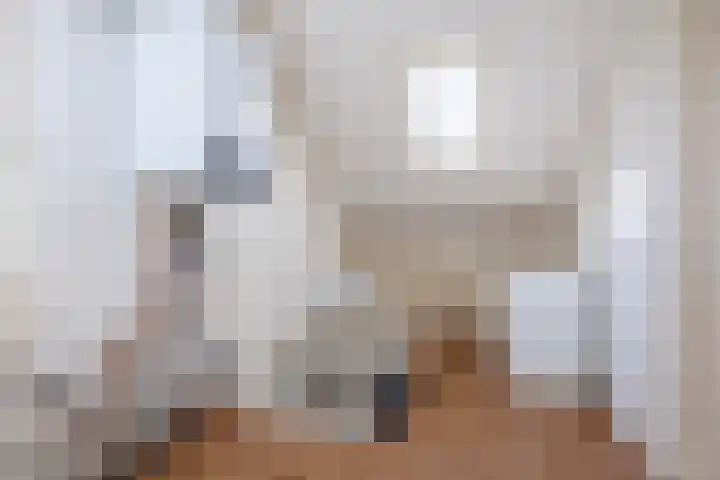 Nertseweide 2 Veghel thumbnail 34