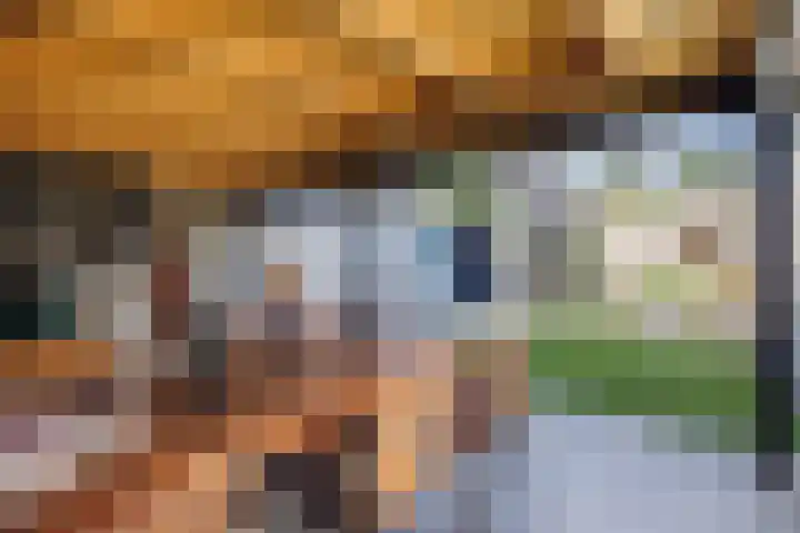 Nertseweide 2 Veghel thumbnail 40