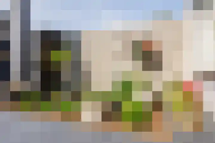 Nertseweide 2 Veghel thumbnail 41