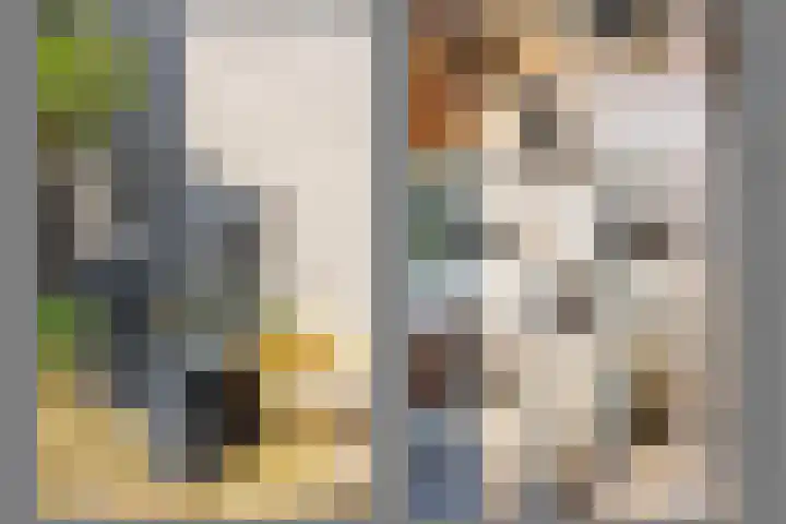 Nertseweide 2 Veghel thumbnail 45