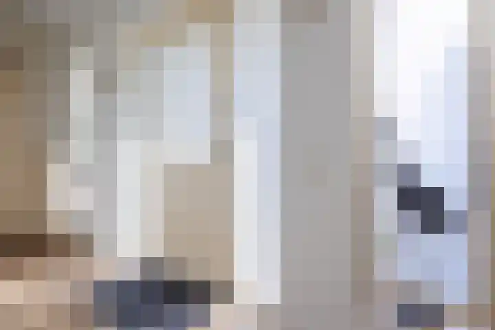 Nertseweide 2 Veghel thumbnail 5