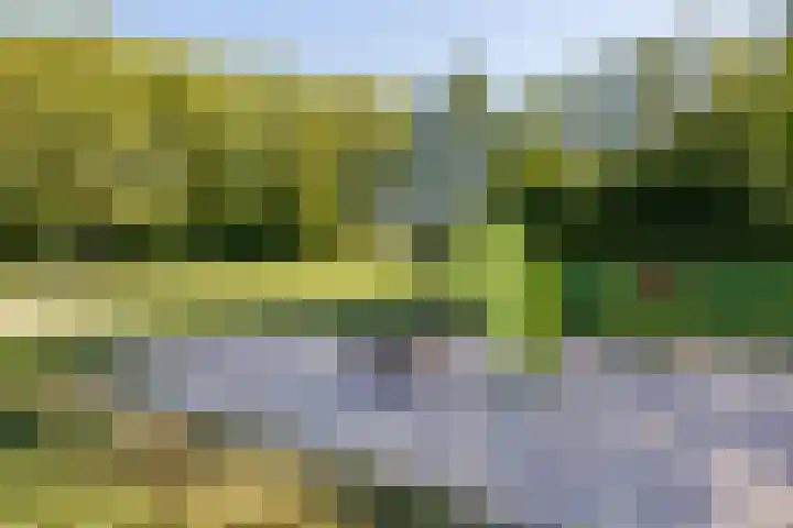 Nertseweide 2 Veghel thumbnail 53