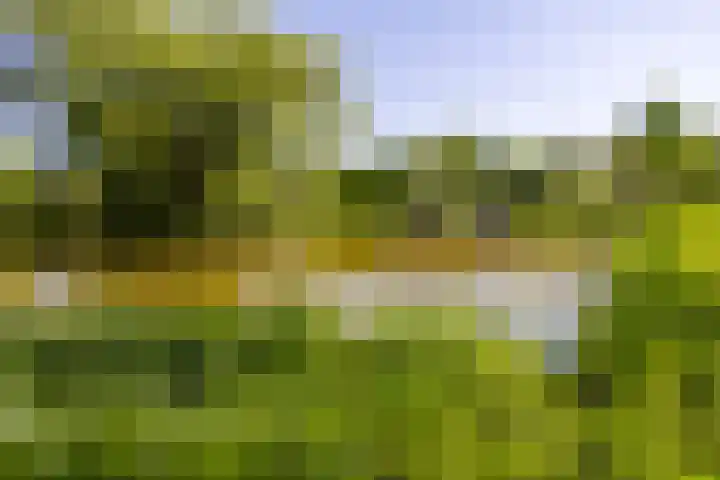 Nertseweide 2 Veghel thumbnail 54
