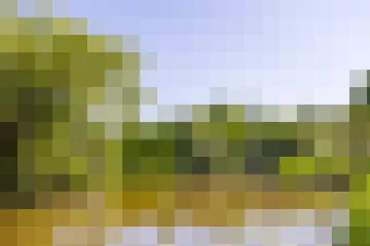 Nertseweide 2 Veghel thumbnail 55
