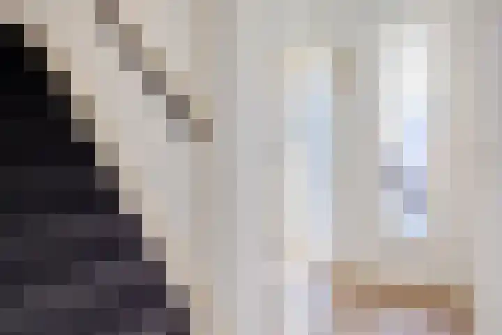 Nertseweide 2 Veghel thumbnail 6