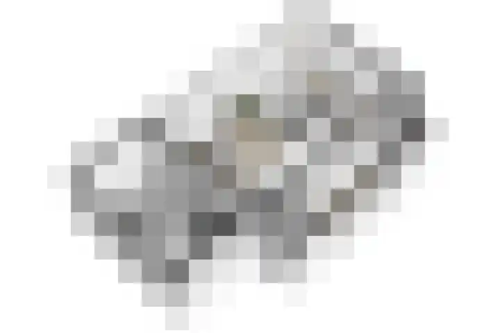Nertseweide 2 Veghel thumbnail 60