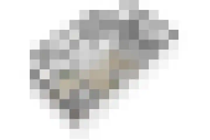 Nertseweide 2 Veghel thumbnail 61