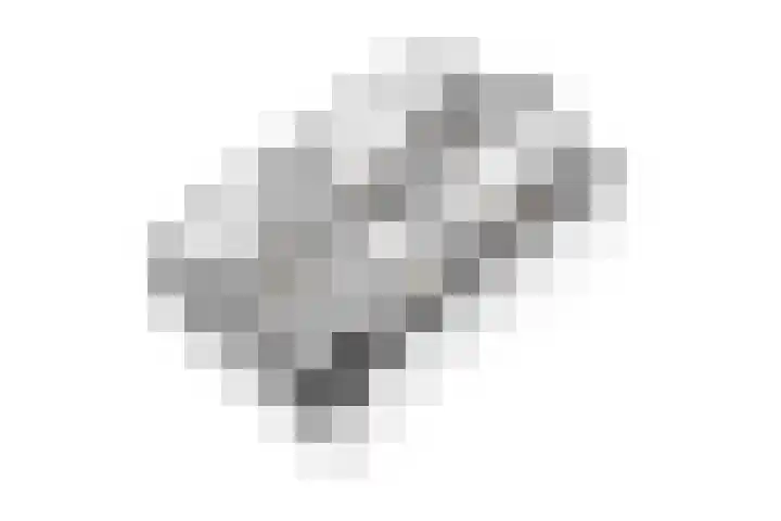 Nertseweide 2 Veghel thumbnail 62