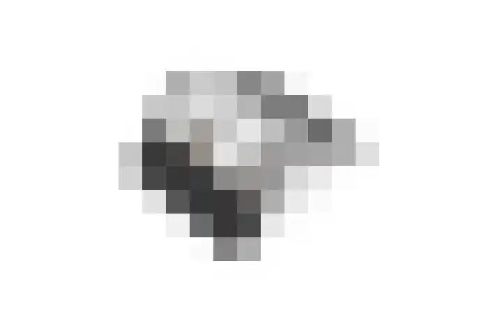 Nertseweide 2 Veghel thumbnail 65