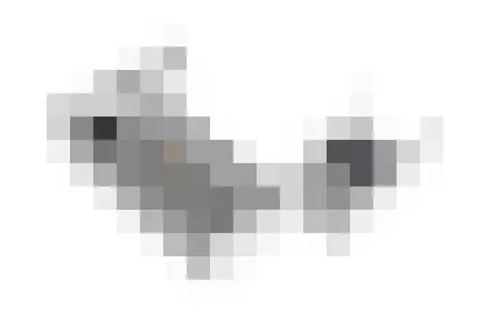 Nertseweide 2 Veghel thumbnail 67