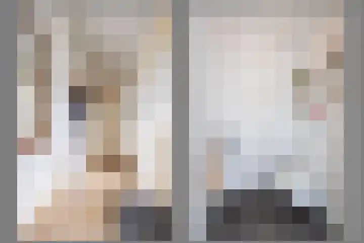 Nertseweide 2 Veghel thumbnail 7