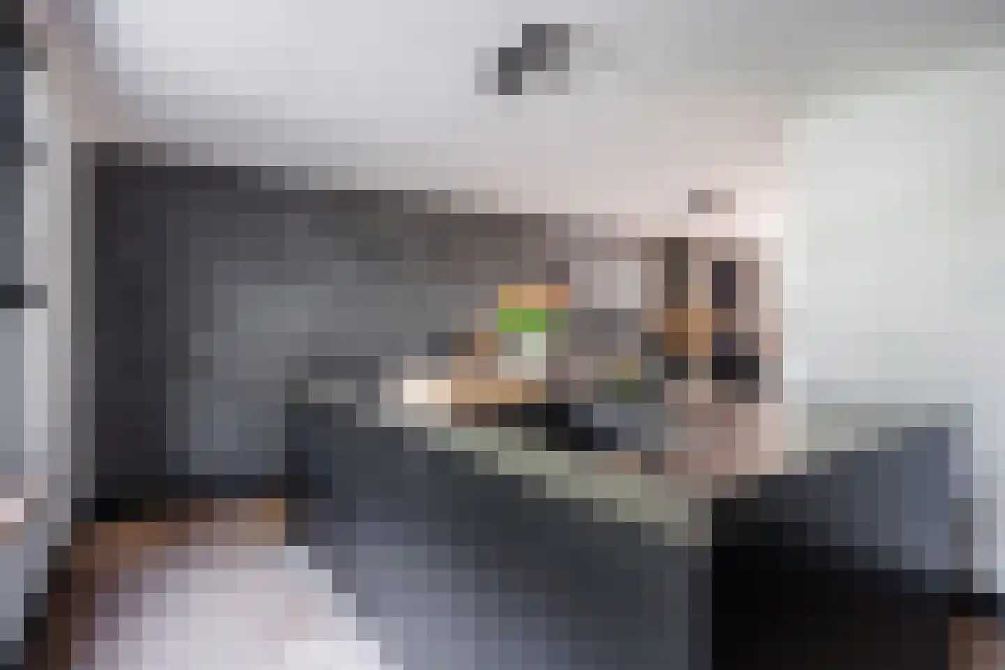 Nervalaan 14 Beuningen Gld thumbnail 13