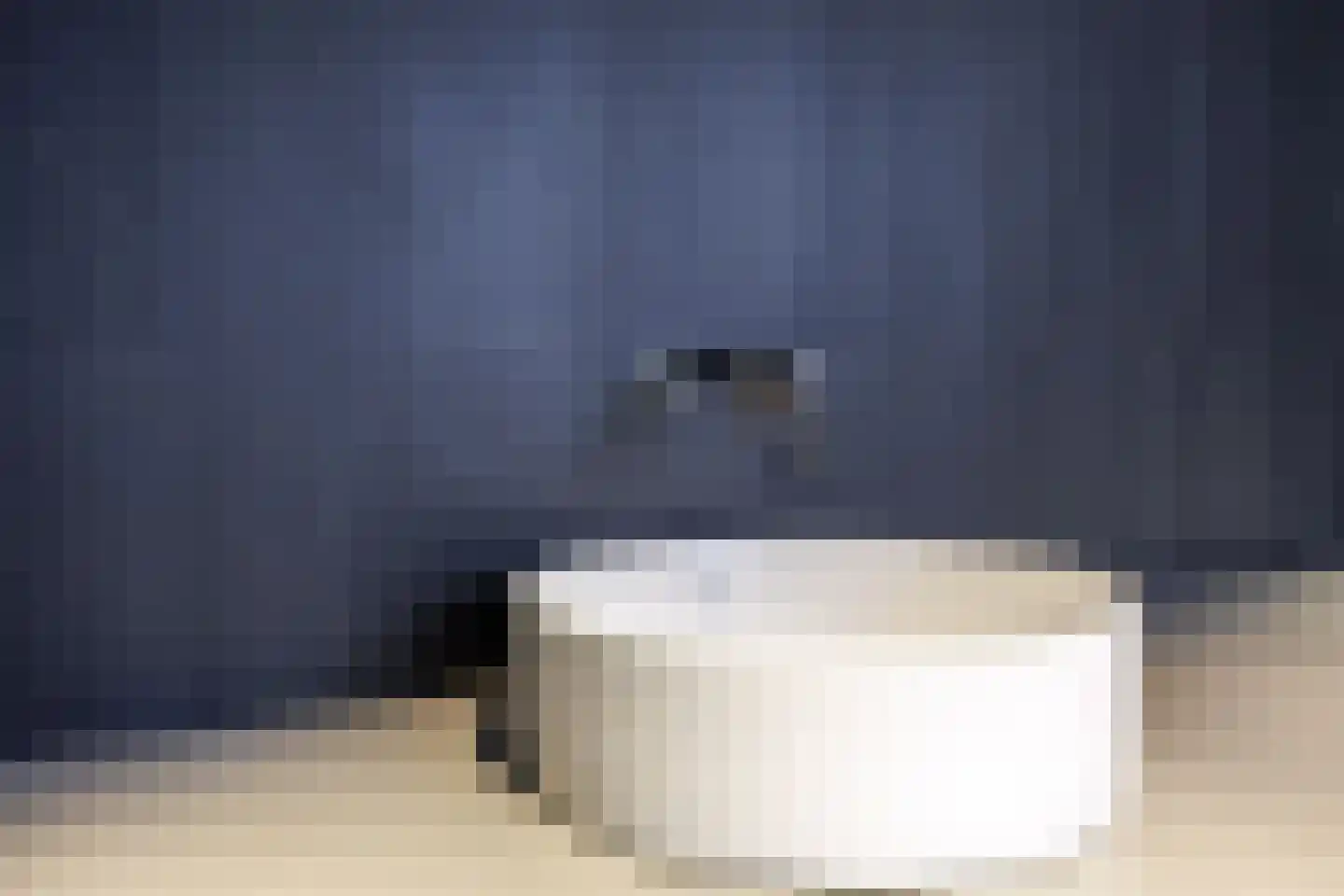 Nervalaan 14 Beuningen Gld thumbnail 20