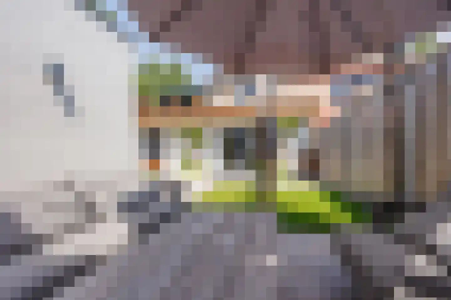 Nervalaan 14 Beuningen Gld thumbnail 49