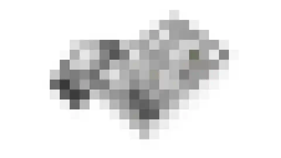 Nervalaan 14 Beuningen Gld thumbnail 63