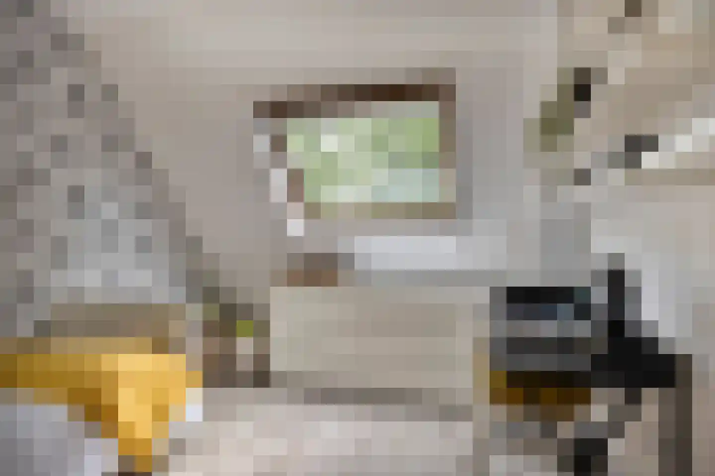 Nervalaan 8 Beuningen Gld thumbnail 22