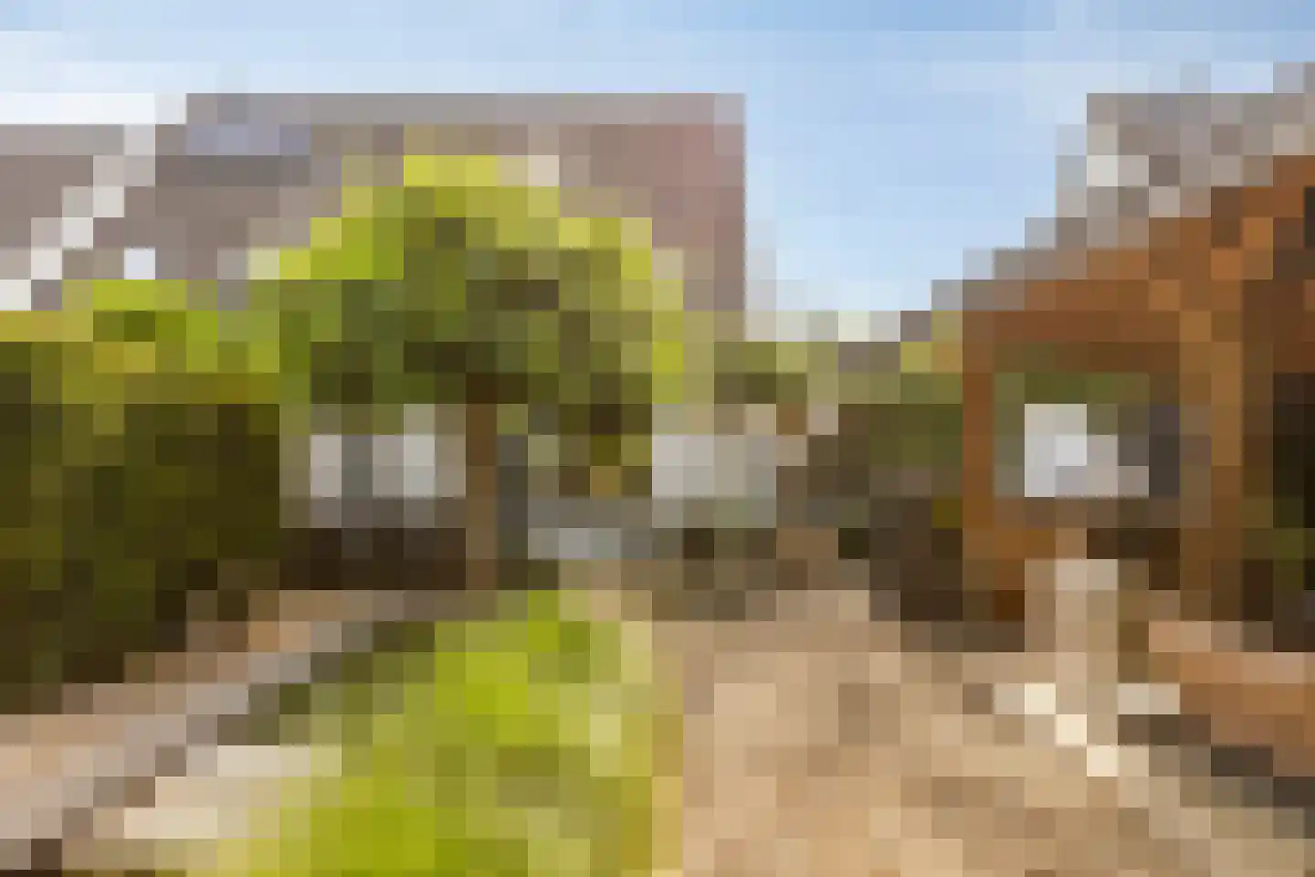 Nervalaan 8 Beuningen Gld thumbnail 28
