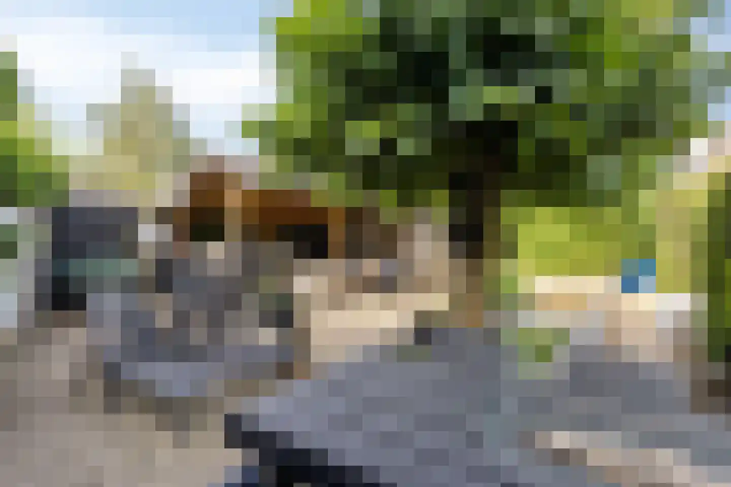 Nervalaan 8 Beuningen Gld thumbnail 29