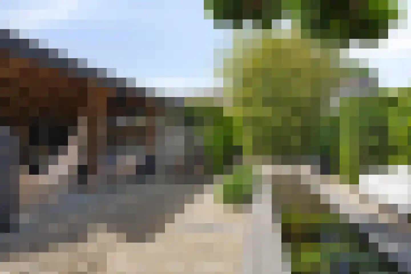 Nervalaan 8 Beuningen Gld thumbnail 29
