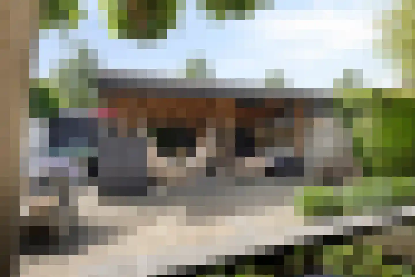 Nervalaan 8 Beuningen Gld thumbnail 30
