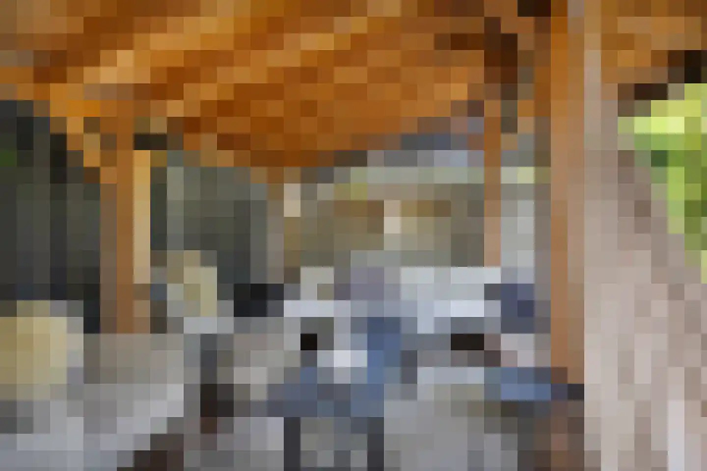 Nervalaan 8 Beuningen Gld thumbnail 31