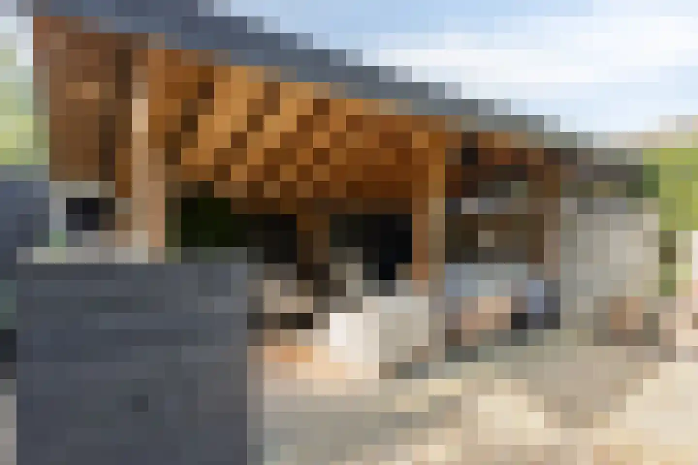 Nervalaan 8 Beuningen Gld thumbnail 31