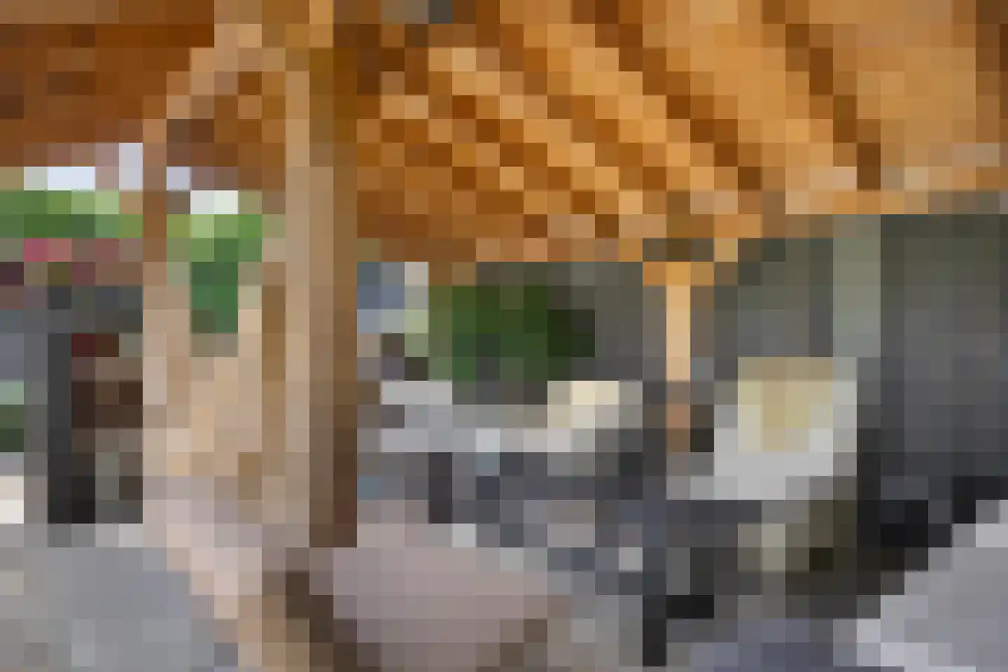 Nervalaan 8 Beuningen Gld thumbnail 32