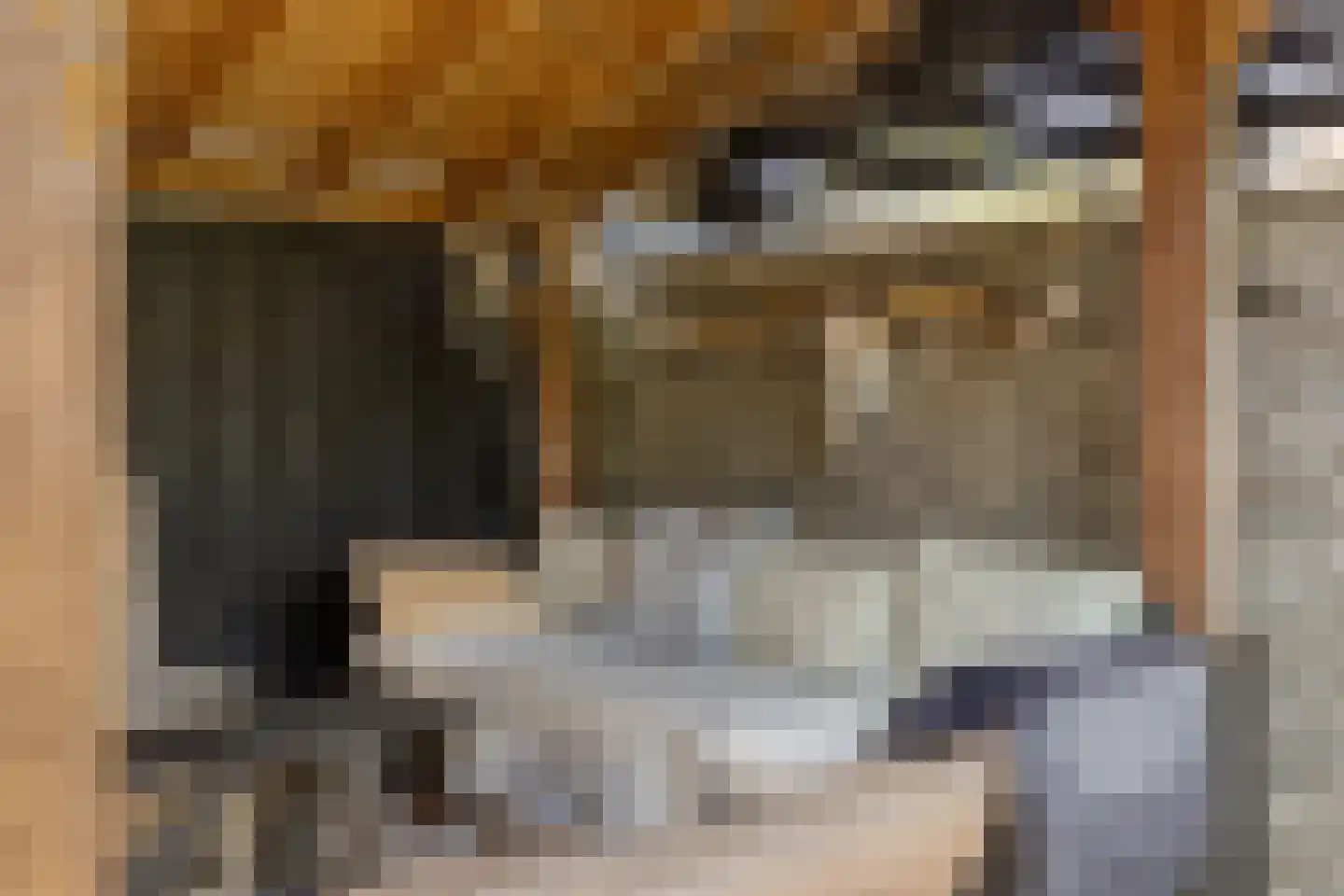 Nervalaan 8 Beuningen Gld thumbnail 34