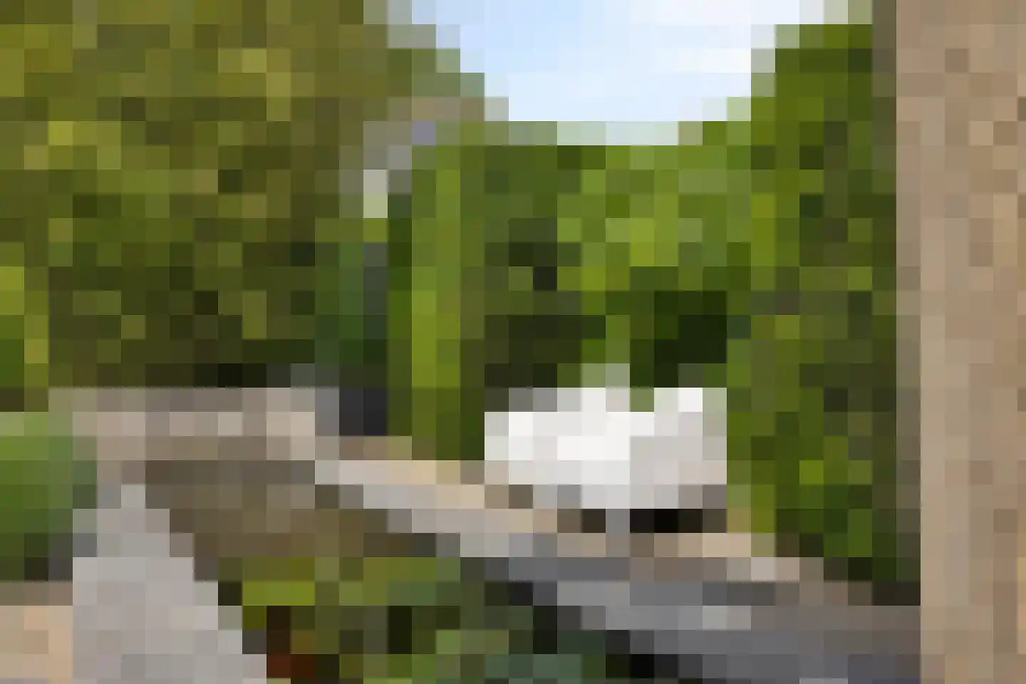 Nervalaan 8 Beuningen Gld thumbnail 35