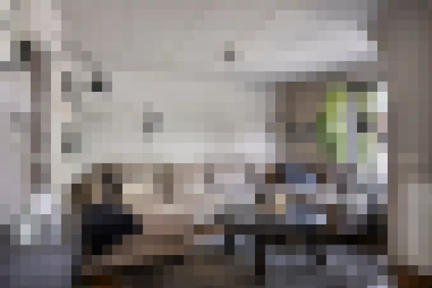 Nervalaan 8 Beuningen Gld thumbnail 4