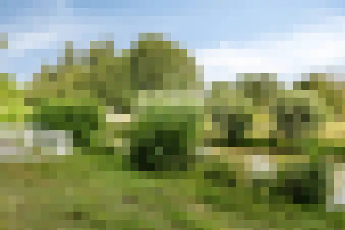 Nervalaan 8 Beuningen Gld thumbnail 40