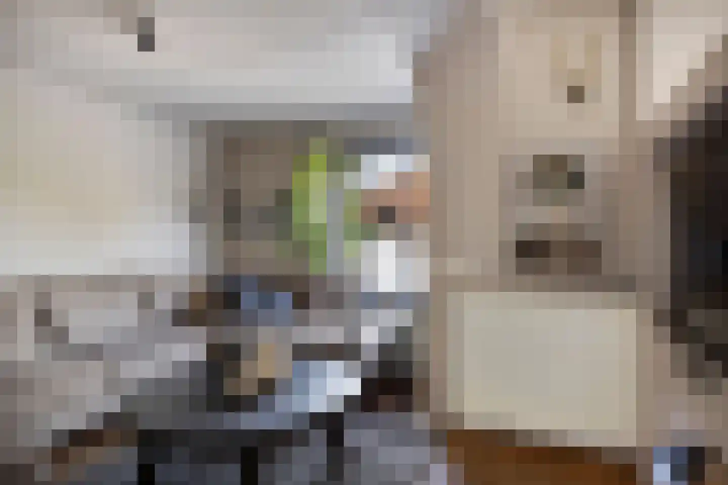 Nervalaan 8 Beuningen Gld thumbnail 5