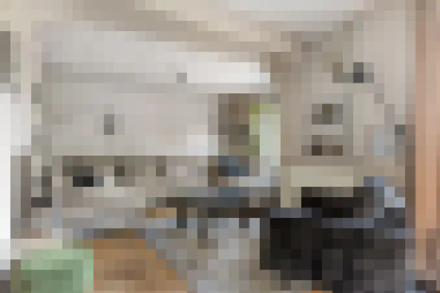 Nervalaan 8 Beuningen Gld thumbnail 5